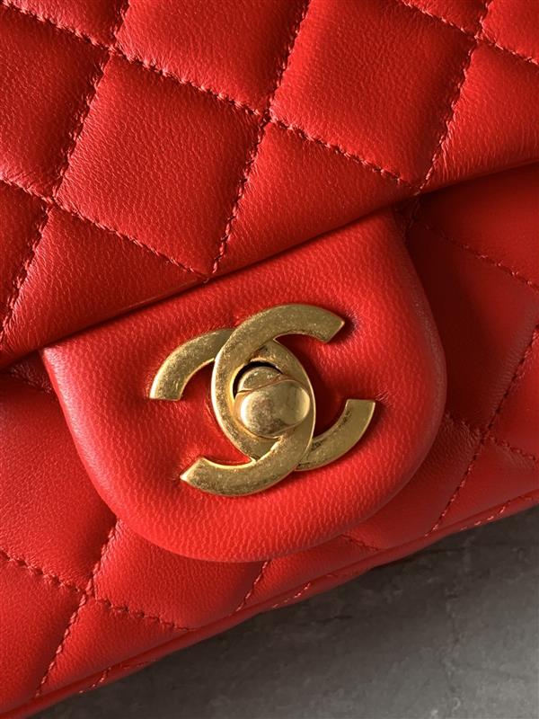 2026131214157623 500